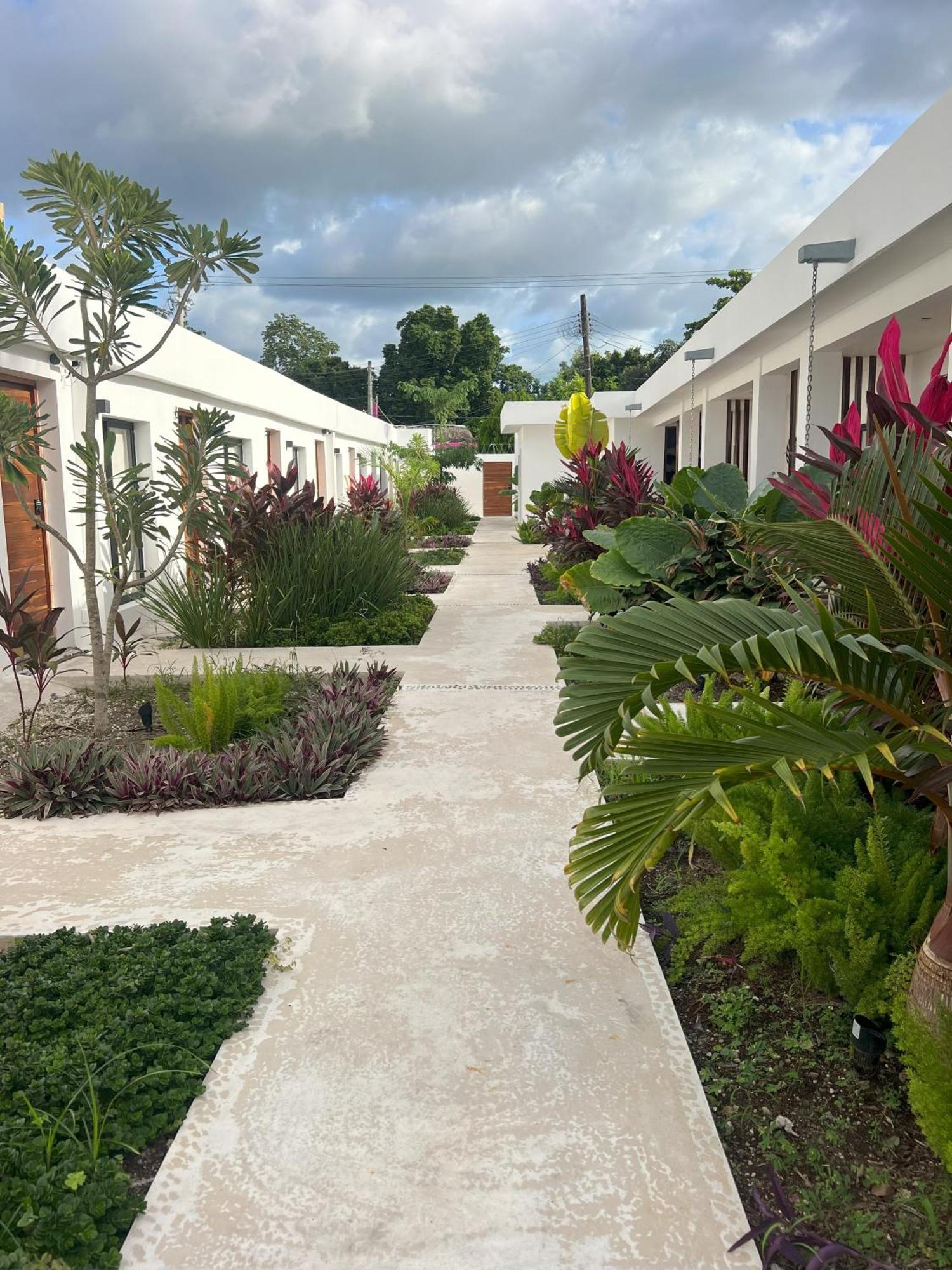 Illa Cozumel Hotel Exterior photo